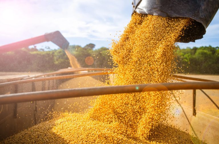 Safra recorde de soja deve elevar estoques do Brasil ao maior nível em 9 anos, projeta Abiove