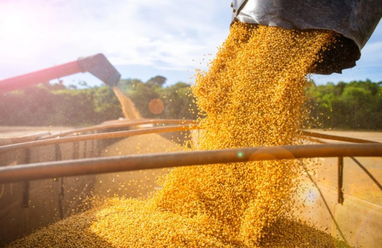 Safras & Mercado projeta safra recorde de soja de 180,1 milhões de toneladas em 2026/27