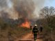 Fumaça e vegetação de Cerrado em incêndio na área de mata do Centro Olímpico da UnB, em Brasília