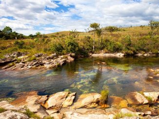 Rio do Cerrado com vegetação nativa na margem e área de pasto ao fundo
