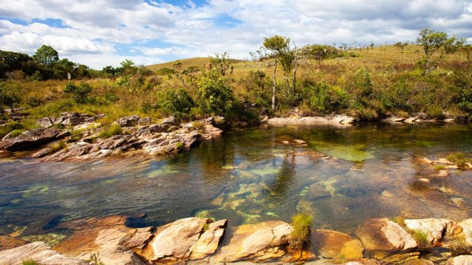 Rio do Cerrado com vegetação nativa na margem e área de pasto ao fundo