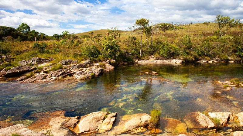 Rio do Cerrado com vegetação nativa na margem e área de pasto ao fundo