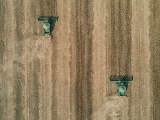 Colheitadeira trabalha em lavoura de grãos no Brasil