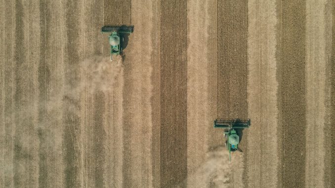 Colheitadeira trabalha em lavoura de grãos no Brasil