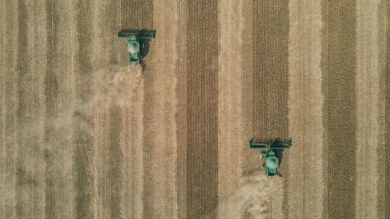 Colheitadeira trabalha em lavoura de grãos no Brasil